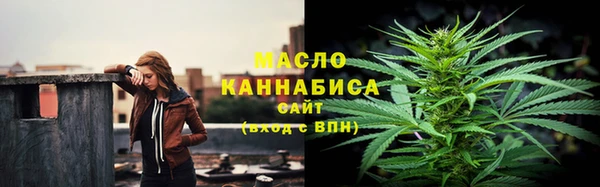 хмурый Арсеньев