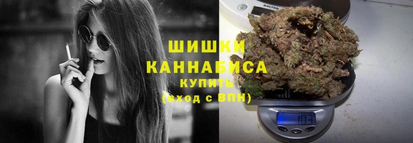 прущая мука Новодвинск