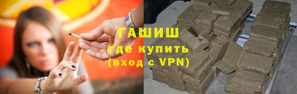 хмурый Арсеньев