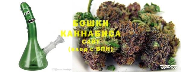 первитин Новозыбков