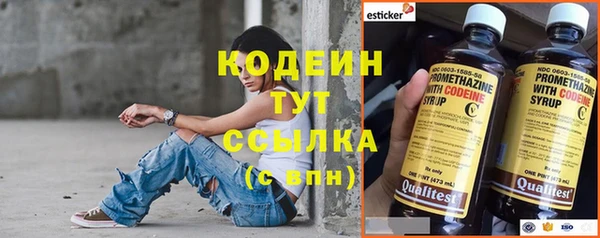 хмурый Арсеньев