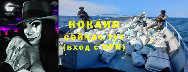 сатива Армянск