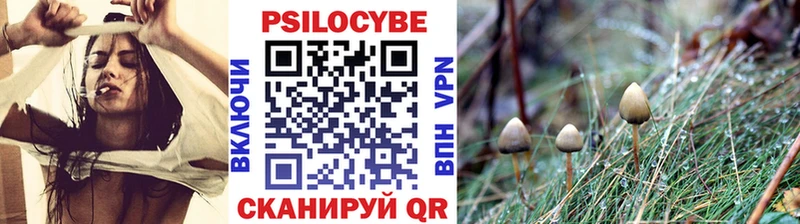 где продают наркотики  Буйнакск  Галлюциногенные грибы GOLDEN TEACHER 